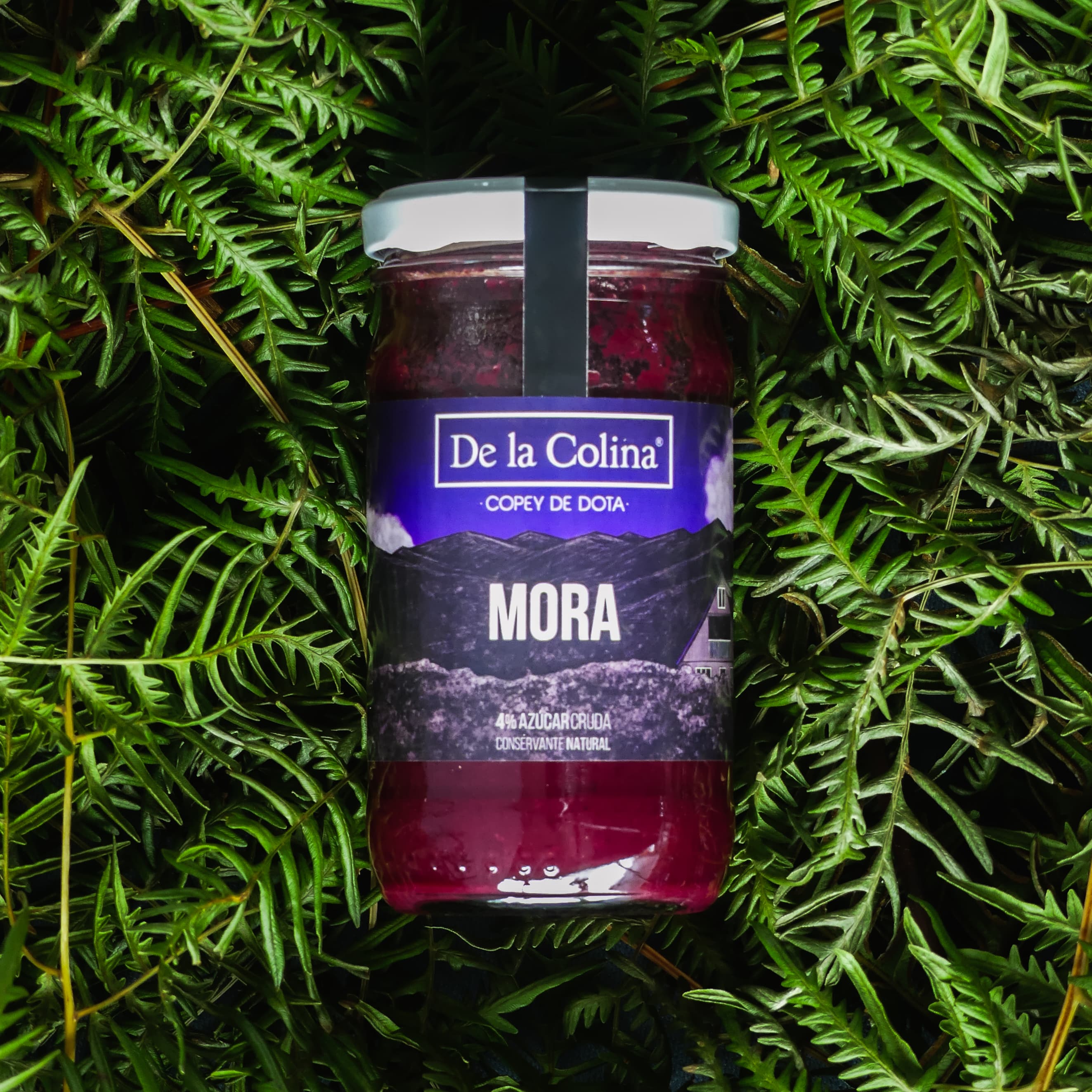 Mermelada de Mora