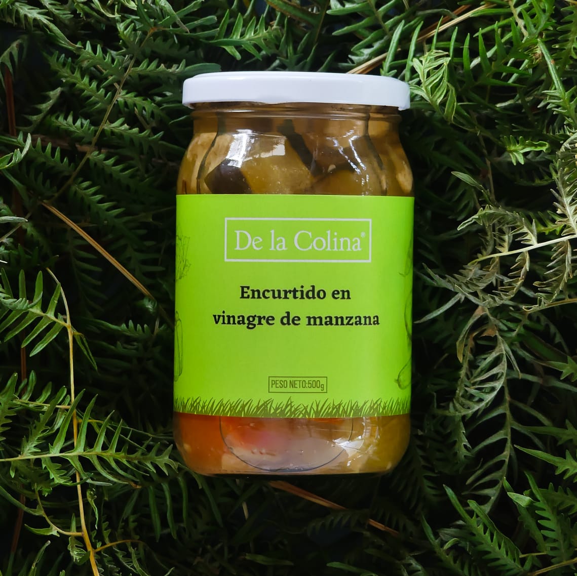 productos en vinagre